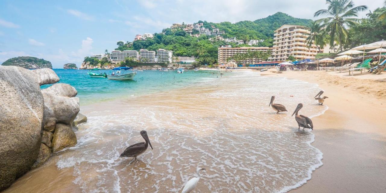Departamento A 5 Minutos De Playa Mismaloya, Puerto Vallarta Extérieur photo